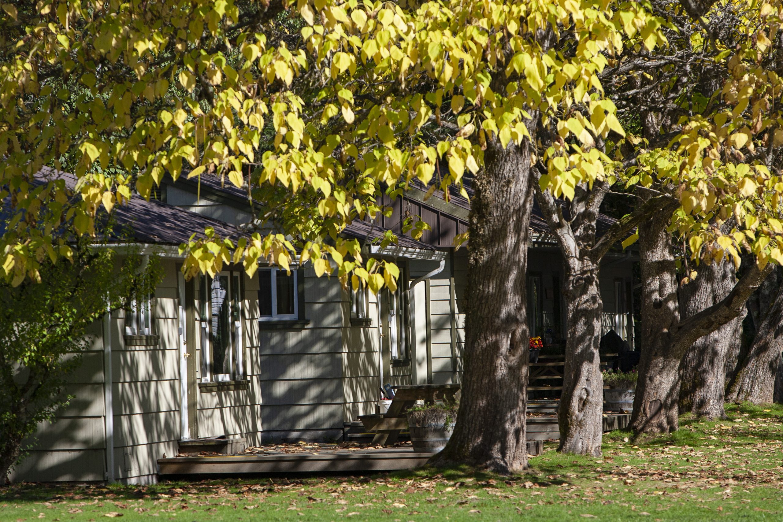 CABIN RATES & FEES Cultus Lake Park