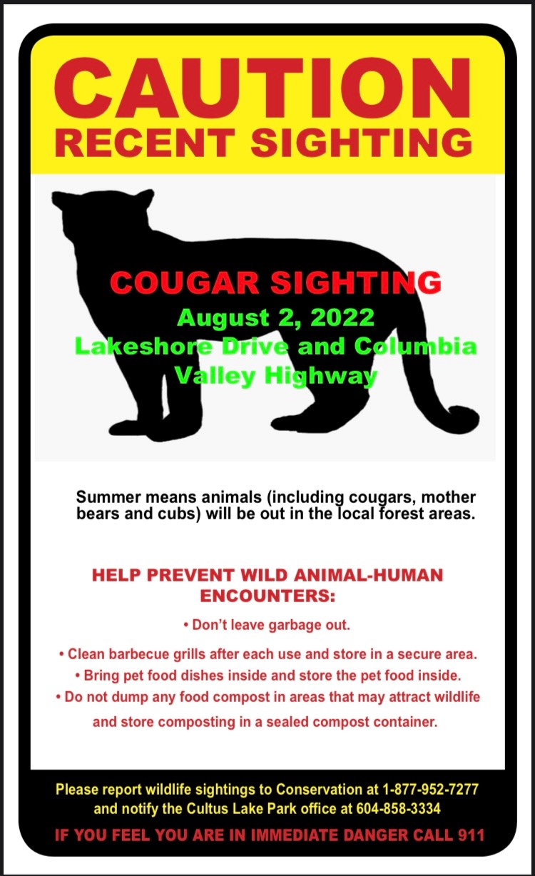 Cougar Sighting August 2, 2022